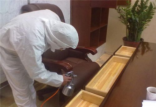 除甲醛.jpg